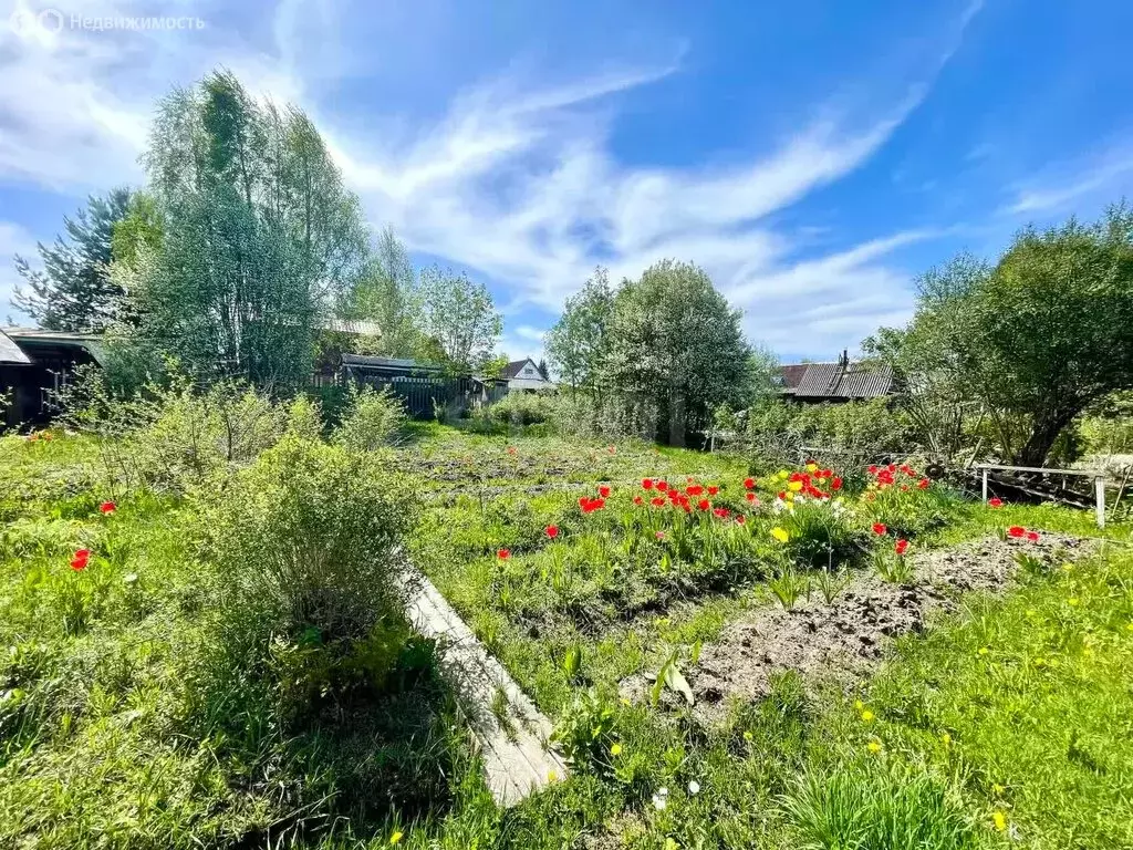 Дом в Сыктывкар, территория Дырносский, СНТ Зодчий (36 м) - Фото 2