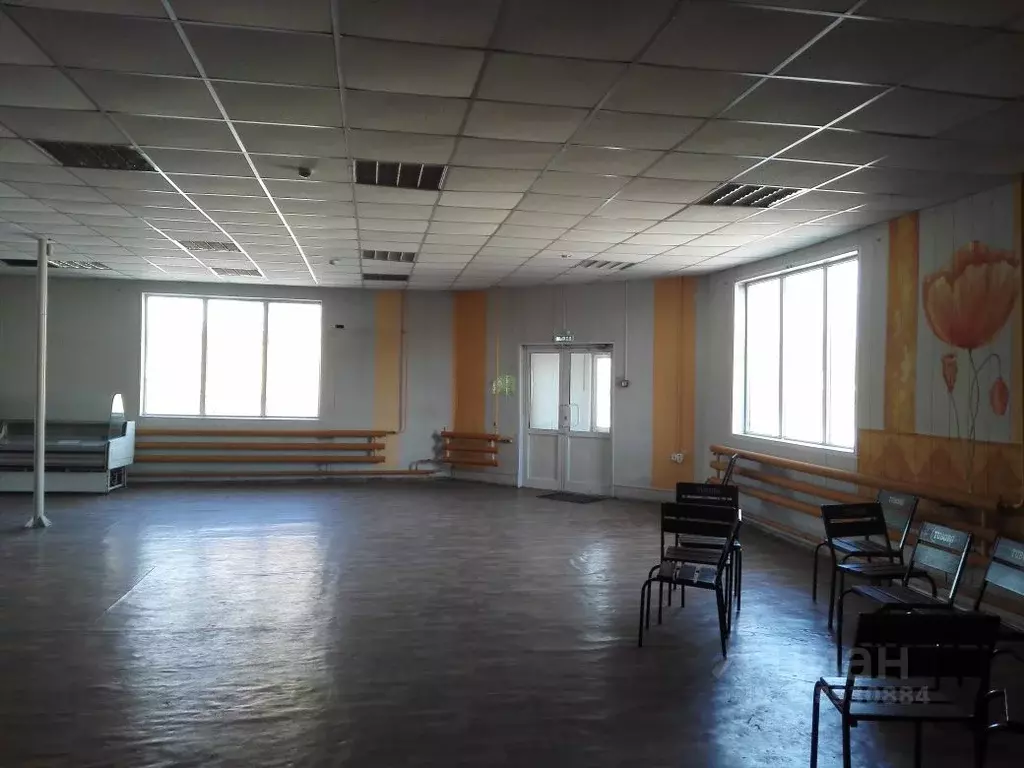 Помещение свободного назначения в Новосибирская область, Новосибирск ... - Фото 1
