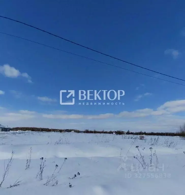 Участок в Костромская область, Кострома  (8.0 сот.) - Фото 2