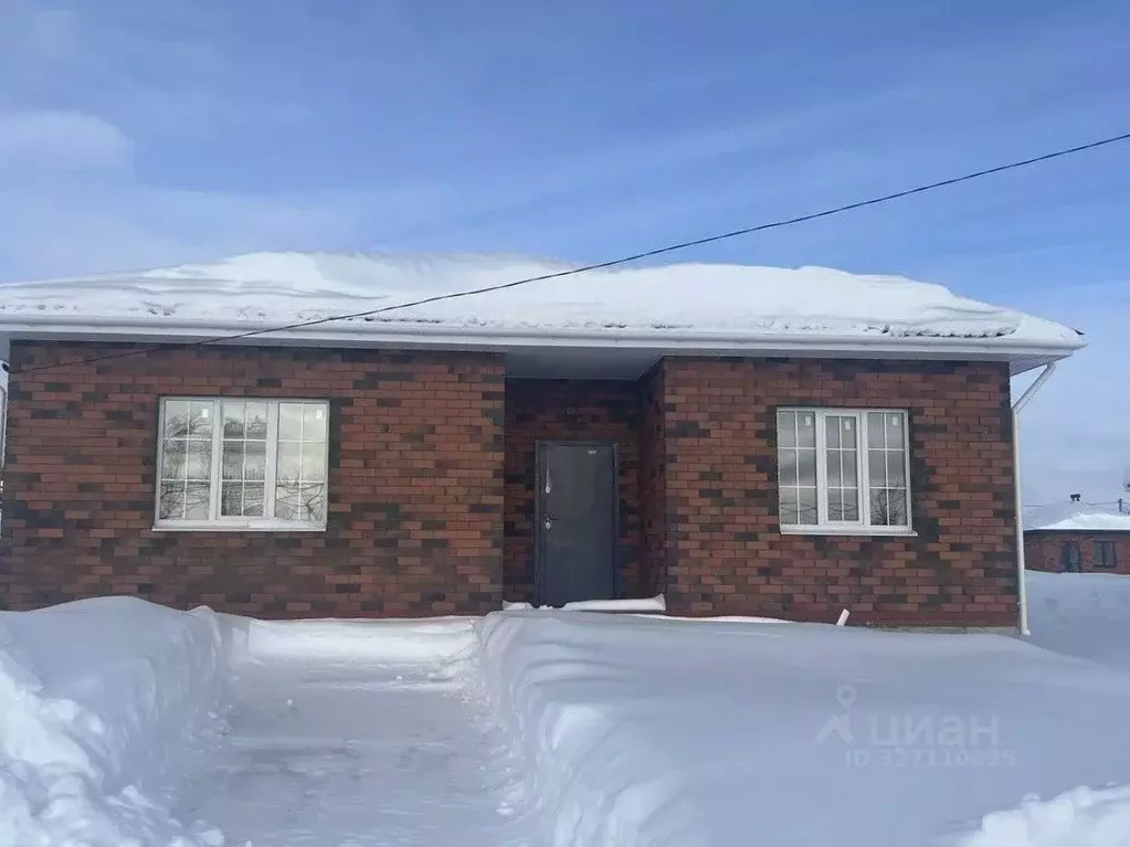 Дом в Татарстан, с. Пестрецы  (120 м) - Фото 2