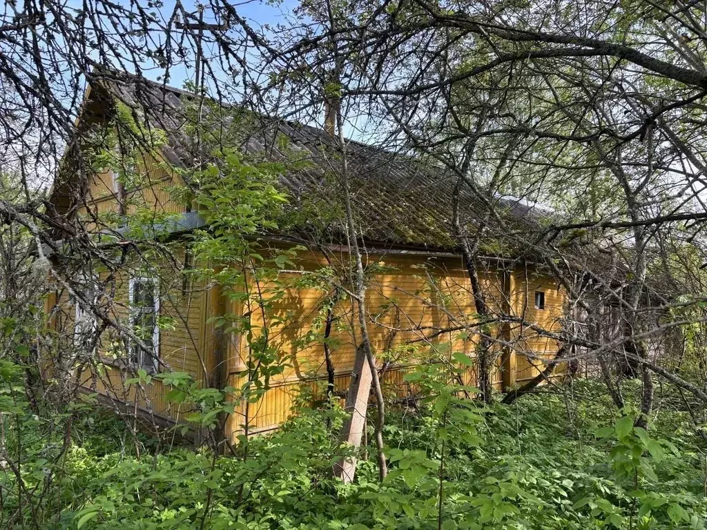 Участок в Псковская область, Гдовский район, Юшкинская волость, д. ... - Фото 1