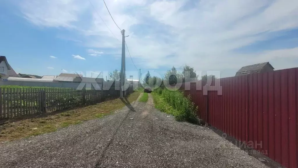 Участок в Новосибирская область, Новосибирский район, Березовский ... - Фото 1