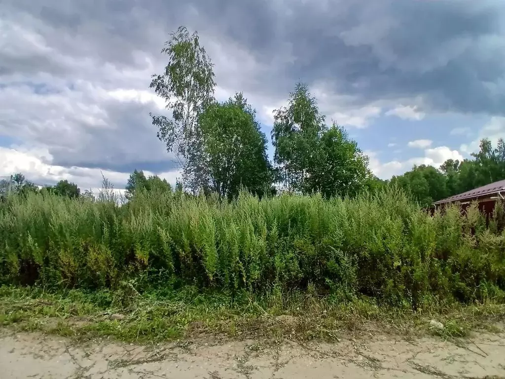 Участок в Московская область, Клин городской округ, д. Малеевка  (15.6 ... - Фото 2