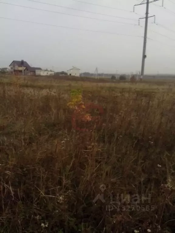 Погода в плясово снежково. СНТ Раздолье Новоусманский район Воронеж. СНТ лебедь Воронеж.