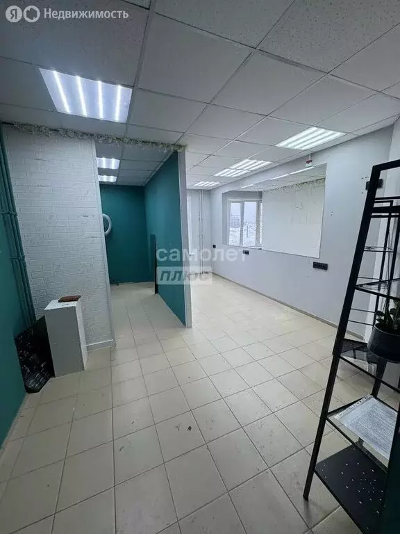 Помещение свободного назначения (31 м) - Фото 1