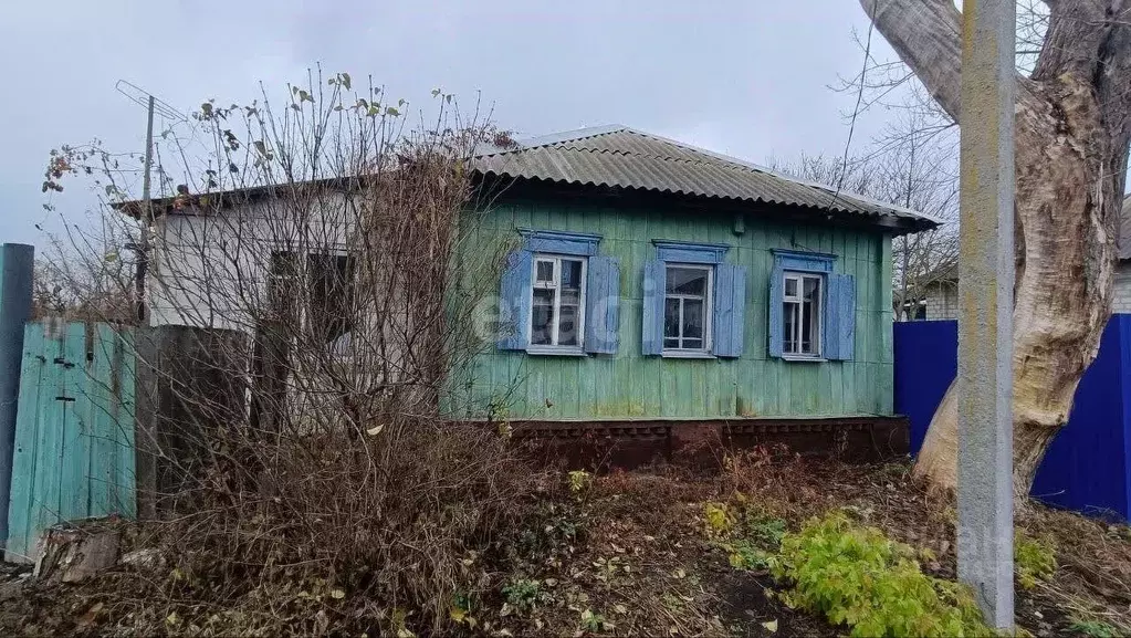 Дом в Белгородская область, Вейделевка рп пл. Центральная (35 м) - Фото 0