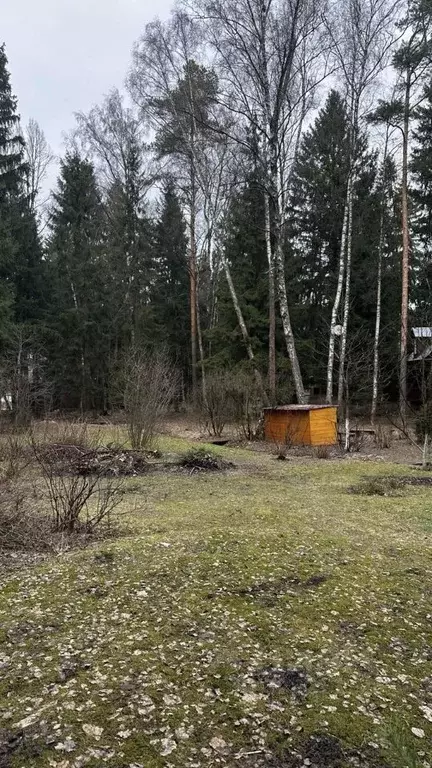 Участок в Московская область, Одинцовский городской округ, с. ... - Фото 1