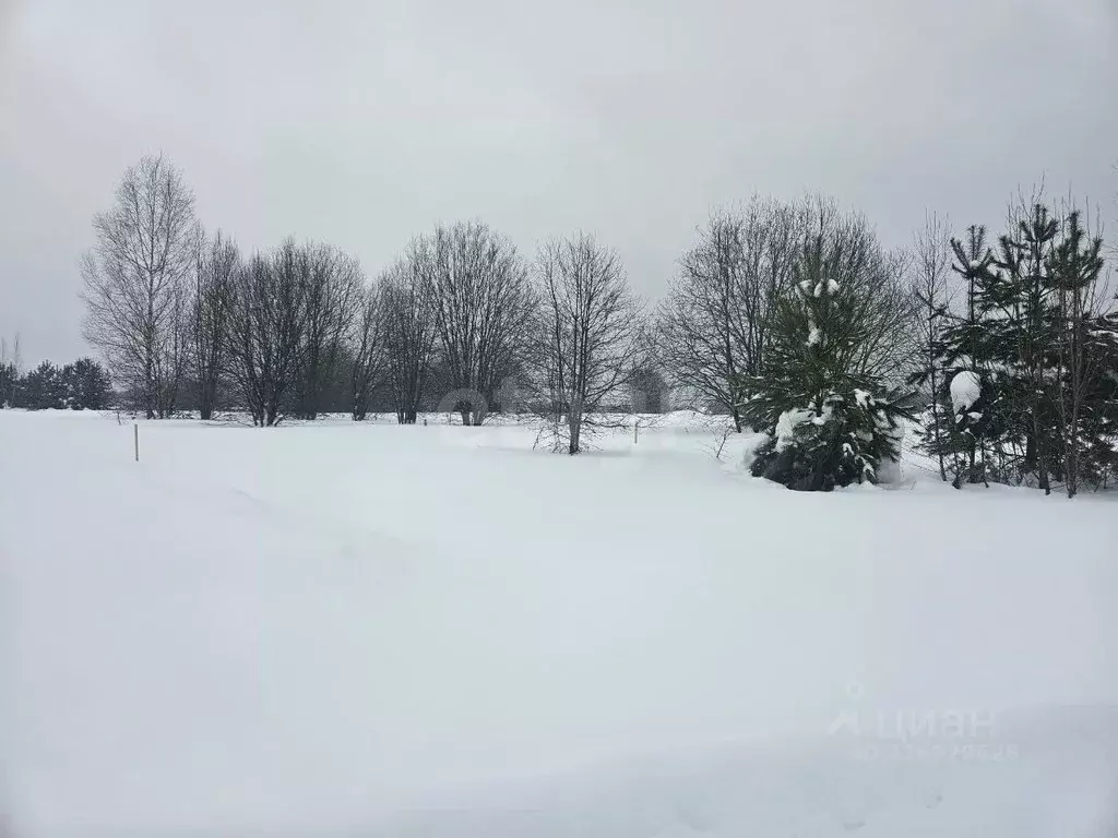 Участок в Владимирская область, Ковров ул. Отрадная (10.5 сот.) - Фото 2