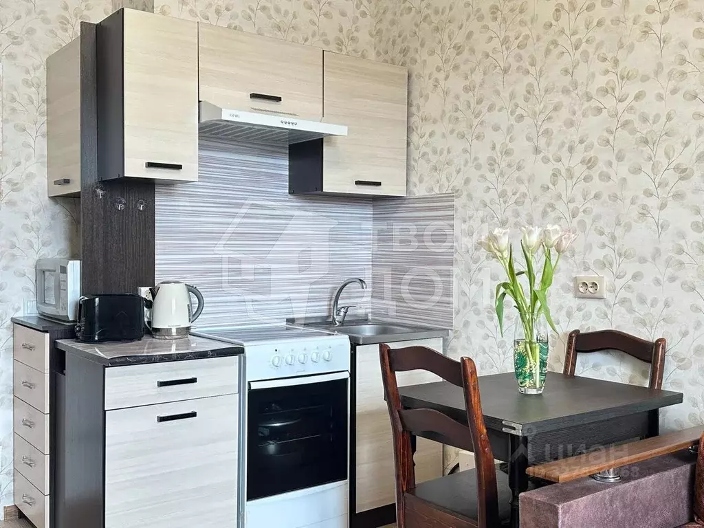 Студия Санкт-Петербург ул. Плесецкая, 10 (21.0 м) - Фото 2