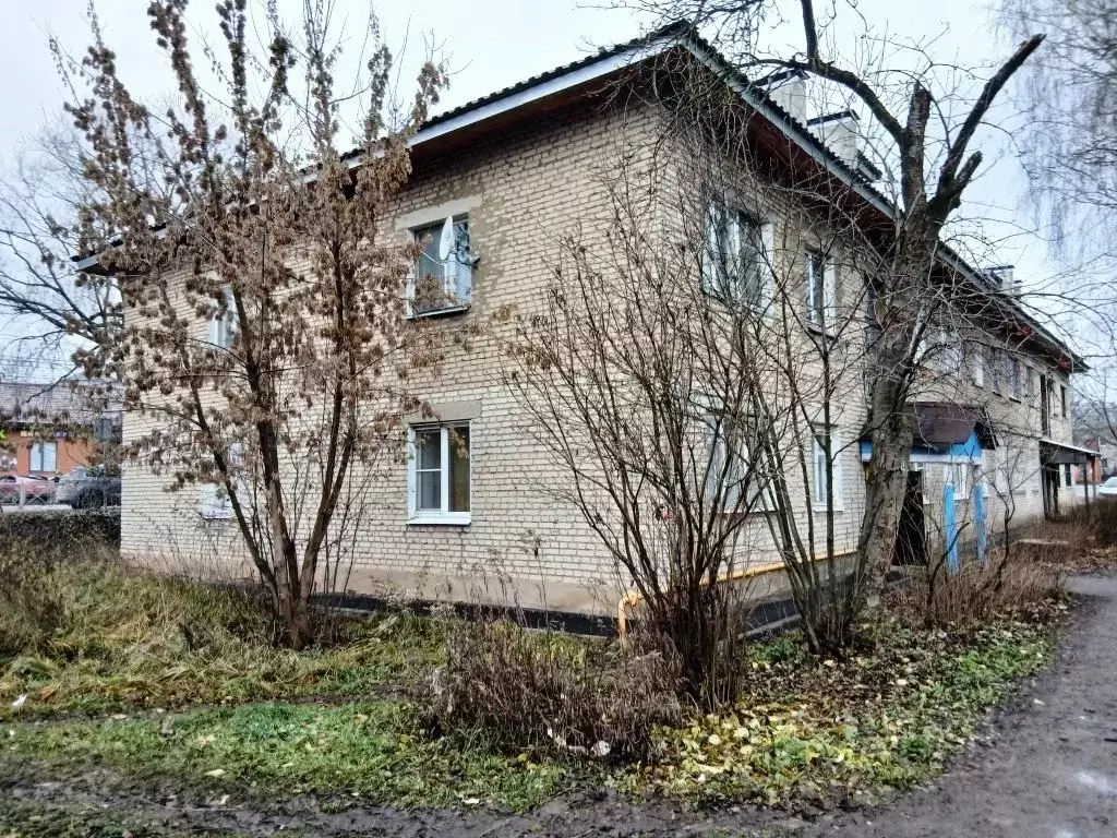 1-к кв. Владимирская область, Киржач Привокзальная ул., 11 (30.0 м) - Фото 2