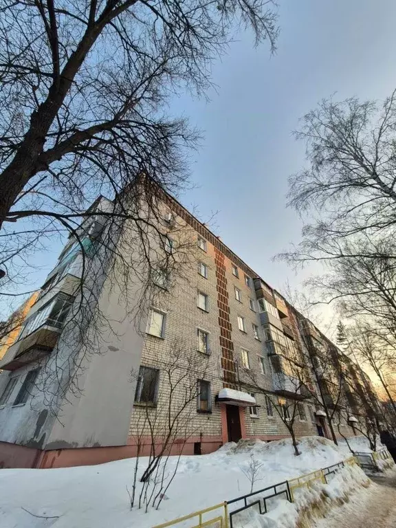 2-к кв. Нижегородская область, Нижний Новгород ул. Ногина, 6 (40.5 м) - Фото 1