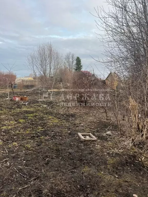 Участок в Кемеровская область, Кемерово Мичуринец СНТ, аллея 1-я (8.5 ... - Фото 1