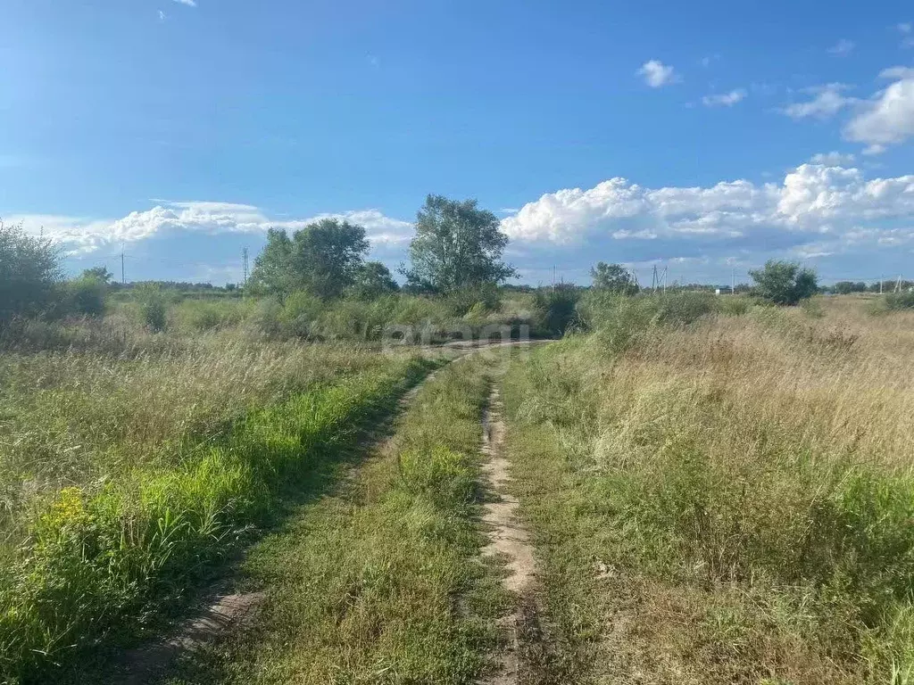 участок в хакасия, алтайский район, д. кайбалы ул. муслинская (10.0 . - Фото 0