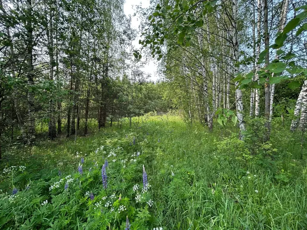 Участок в Александров, СТ Ручеёк (8 м) - Фото 1