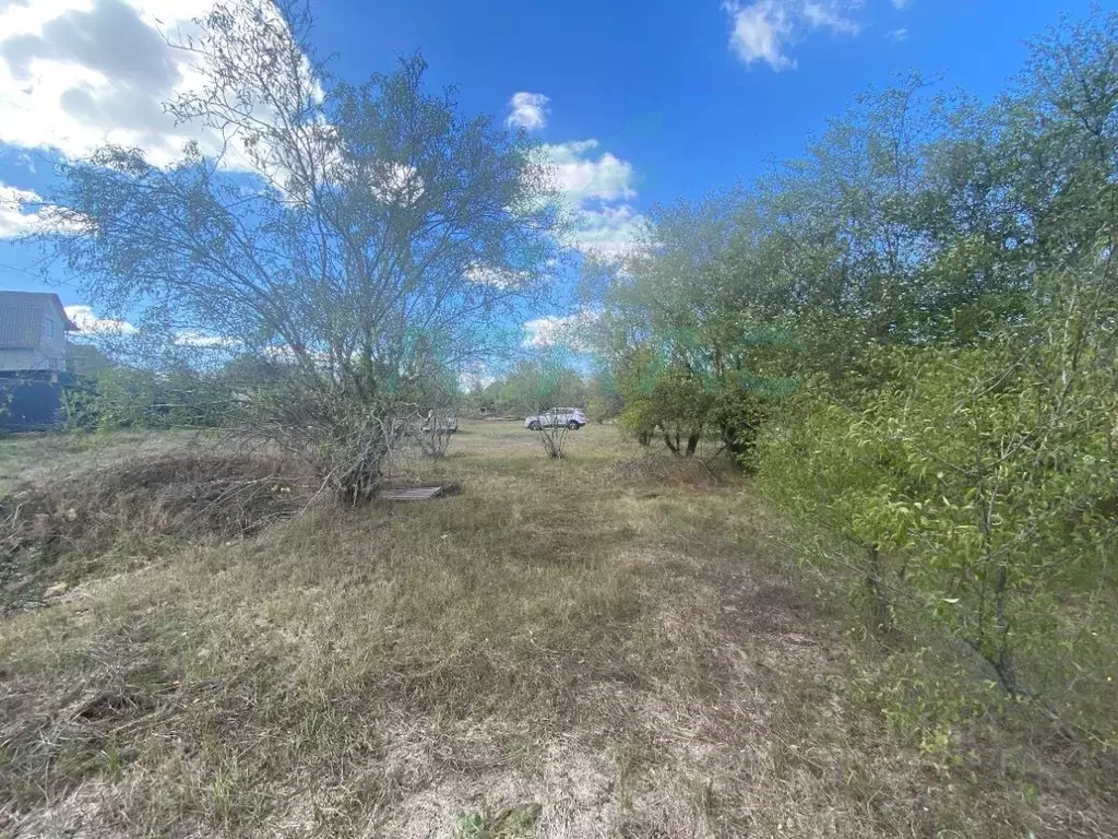 Участок в Крым, Симферопольский район, Перовское с/пос, Рино СТ 13 ... - Фото 1