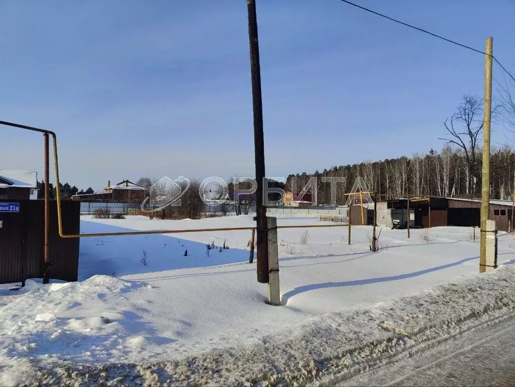 Участок в Тюменская область, Тюменский район, д. Дударева Боровая ул., ... - Фото 2