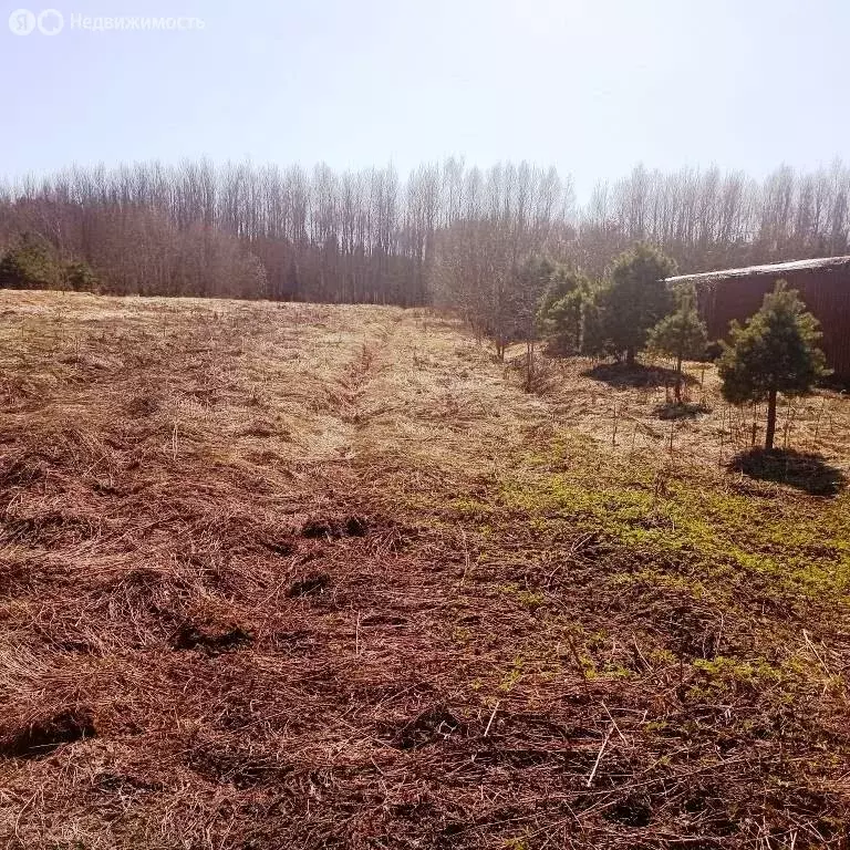 Участок в Тверская область, Калининский муниципальный округ, деревня ... - Фото 1