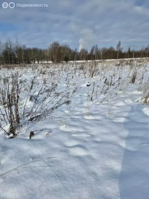 Участок в Вологодская область, Череповецкий муниципальный округ, село ... - Фото 1