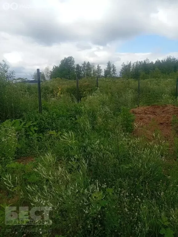 Участок в Московская область, городской округ Щёлково, территория ... - Фото 2