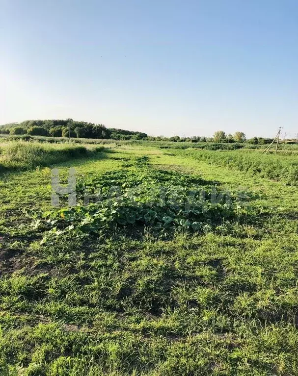 Участок в Краснодарский край, Тихорецк Пригородная ул., 20 (8.0 сот.) - Фото 0