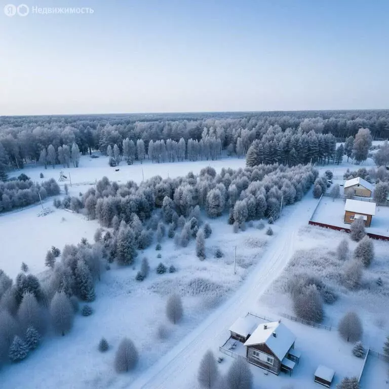 Участок в Ярославский муниципальный округ, село Лютово (15 м) - Фото 2