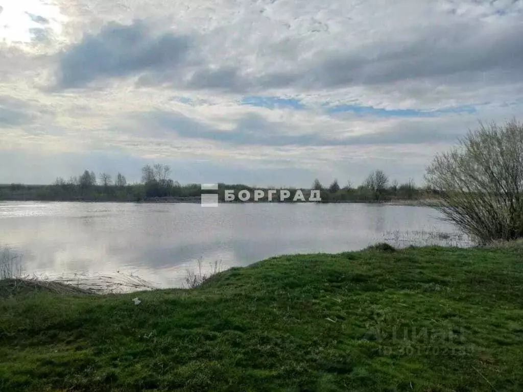 Дом в Воронежская область, Панинский район, Прогрессовское с/пос, с. ... - Фото 0