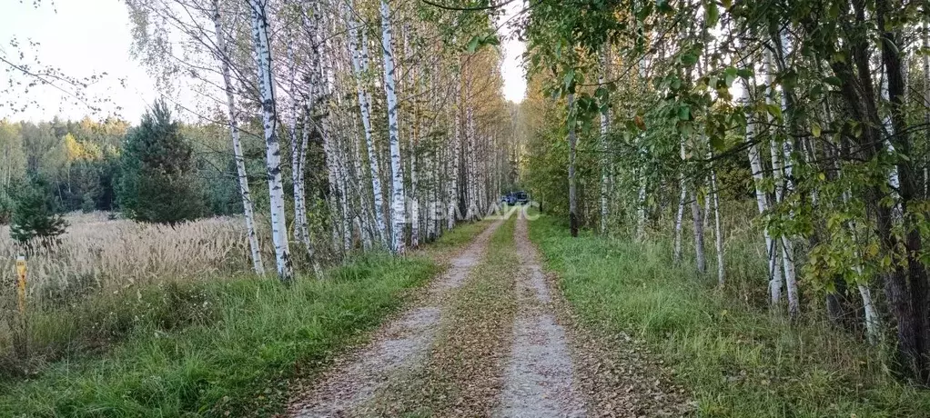 Участок в Владимирская область, Судогодский район, д. Аксеново ул. ... - Фото 2