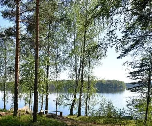 Участок в Тверская область, Осташковский муниципальный округ, д. Гуща  ... - Фото 1