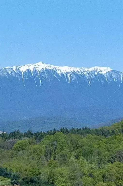 Участок в Краснодарский край, Сочи городской округ, с. Ермоловка  ... - Фото 2