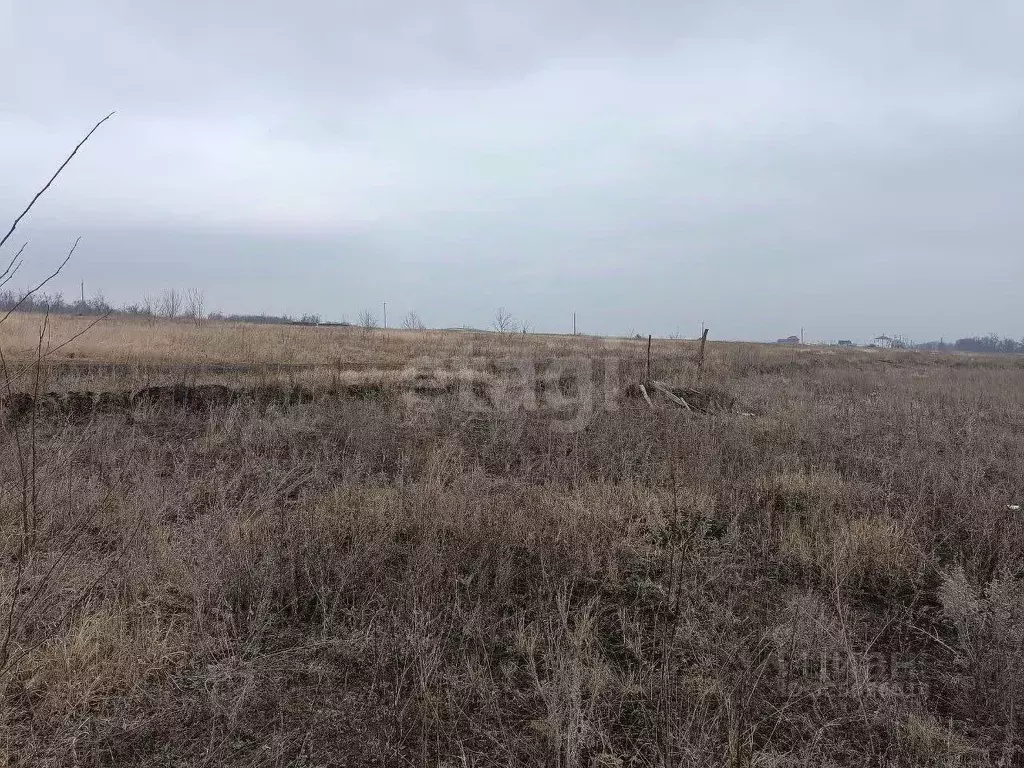 Участок в Курская область, Курский район, Клюквинский сельсовет, с. ... - Фото 1