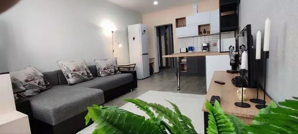 Студия Краснодарский край, Анапа Владимирская ул., 108к2 (25.0 м) - Фото 1