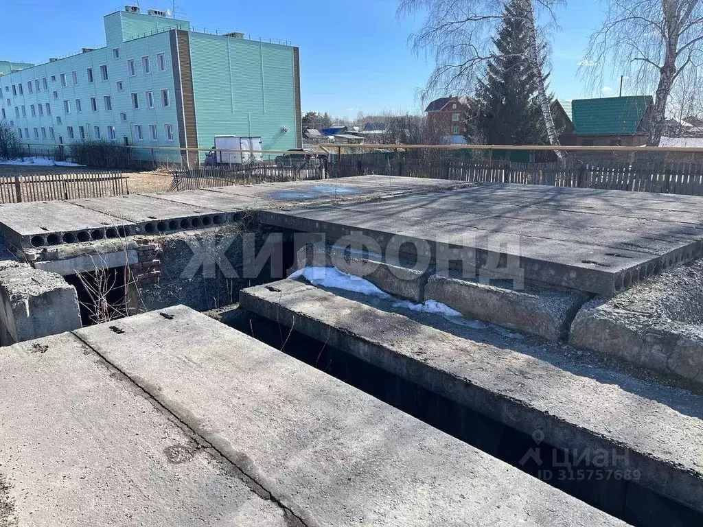 Участок в Новосибирская область, Новосибирский район, с. Криводановка ... - Фото 1