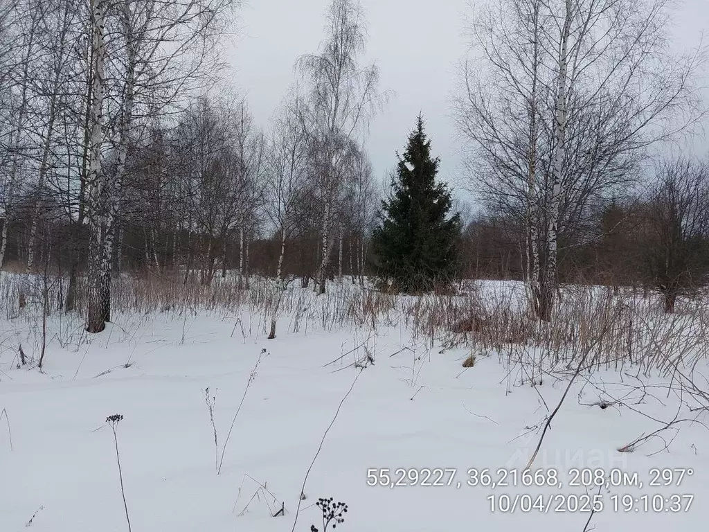 Участок в Московская область, Наро-Фоминский городской округ, д. ... - Фото 0