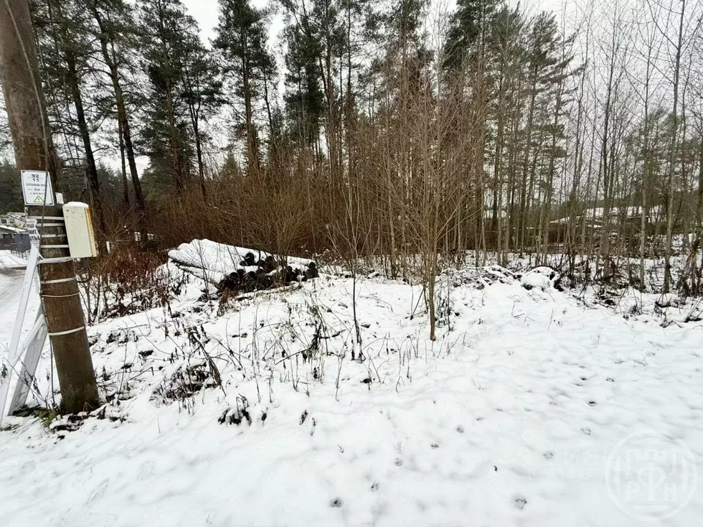 Участок в Ленинградская область, Выборгский район, Рощино пгт проезд ... - Фото 1
