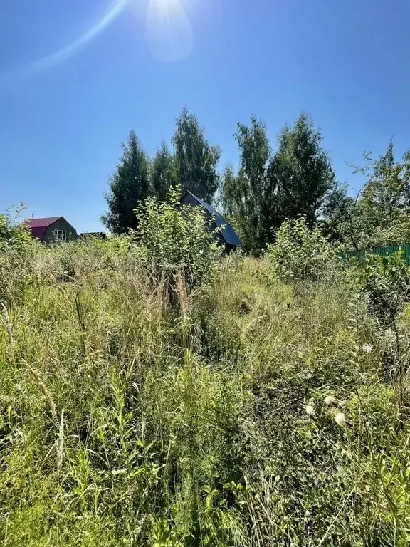 Дом в Московская область, Ступино городской округ, Хуторок СНТ  (70 м) - Фото 2