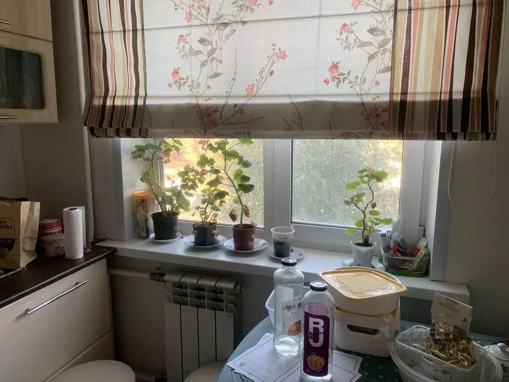 1-к кв. Красноярский край, Красноярск Кольцевая ул., 1 (30.0 м) - Фото 2