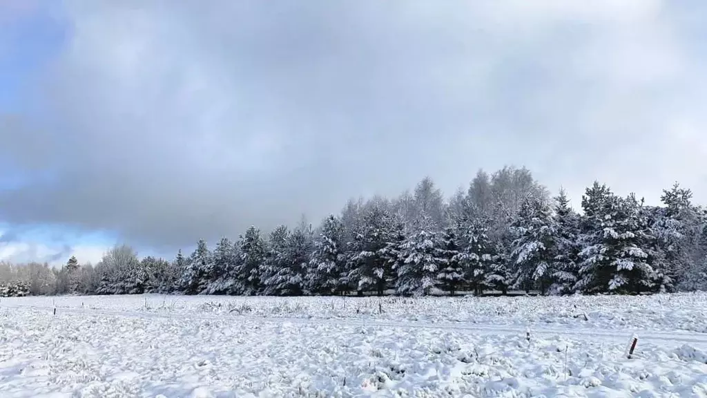 Участок в Московская область, Дмитровский муниципальный округ, д. ... - Фото 1