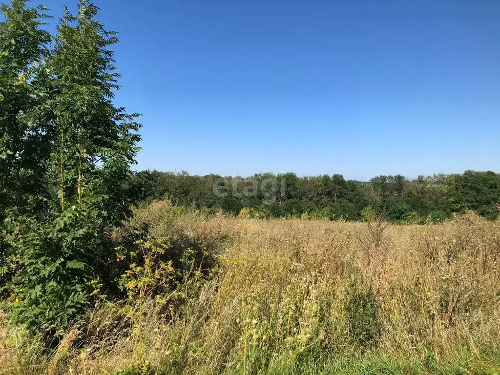 Участок в Белгородская область, Белгород Сухой Лог садоводческий ... - Фото 1