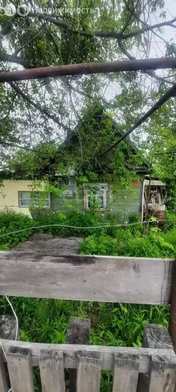 Участок в Хабаровск, садовое товарищество Надежда-2 (4 м) - Фото 1