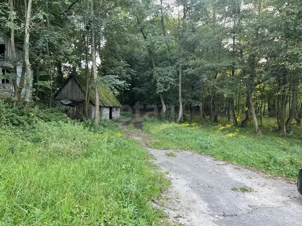 Участок в Калининградская область, Гурьевский муниципальный округ, ... - Фото 1