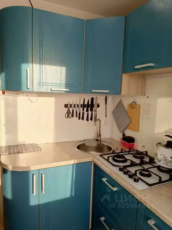 3-к кв. Нижегородская область, Нижний Новгород с. Чернуха, ул. ... - Фото 2