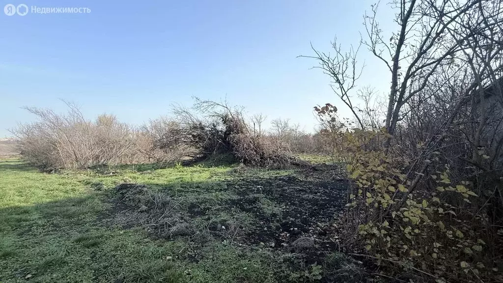 Участок в Ставрополь, садовое товарищество Зорька, 207 (6 м) - Фото 1