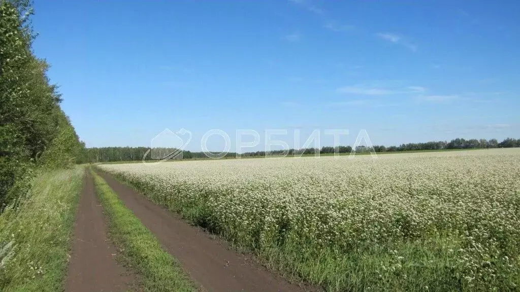 Участок в Тюменская область, Тюменский муниципальный округ, ... - Фото 2