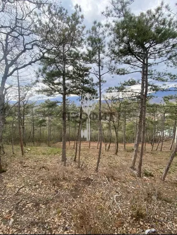 Участок в Крым, Алушта муниципальный округ, пос. Семидворье  (5.0 ... - Фото 1