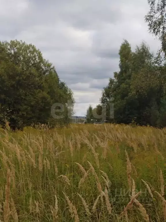 Участок в Тульская область, Тула городской округ, с. Частое ул. ... - Фото 1