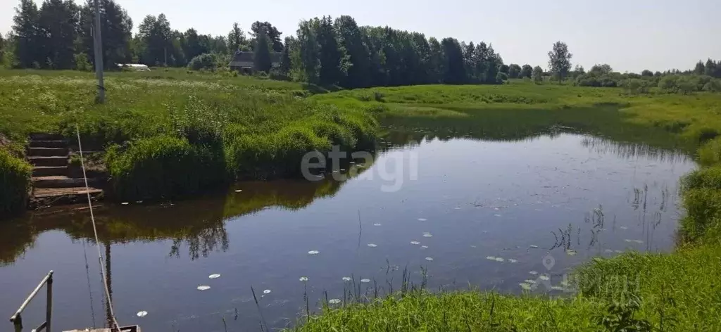 Дом в Псковская область, Пыталовский муниципальный округ, д. Магиново  ... - Фото 0