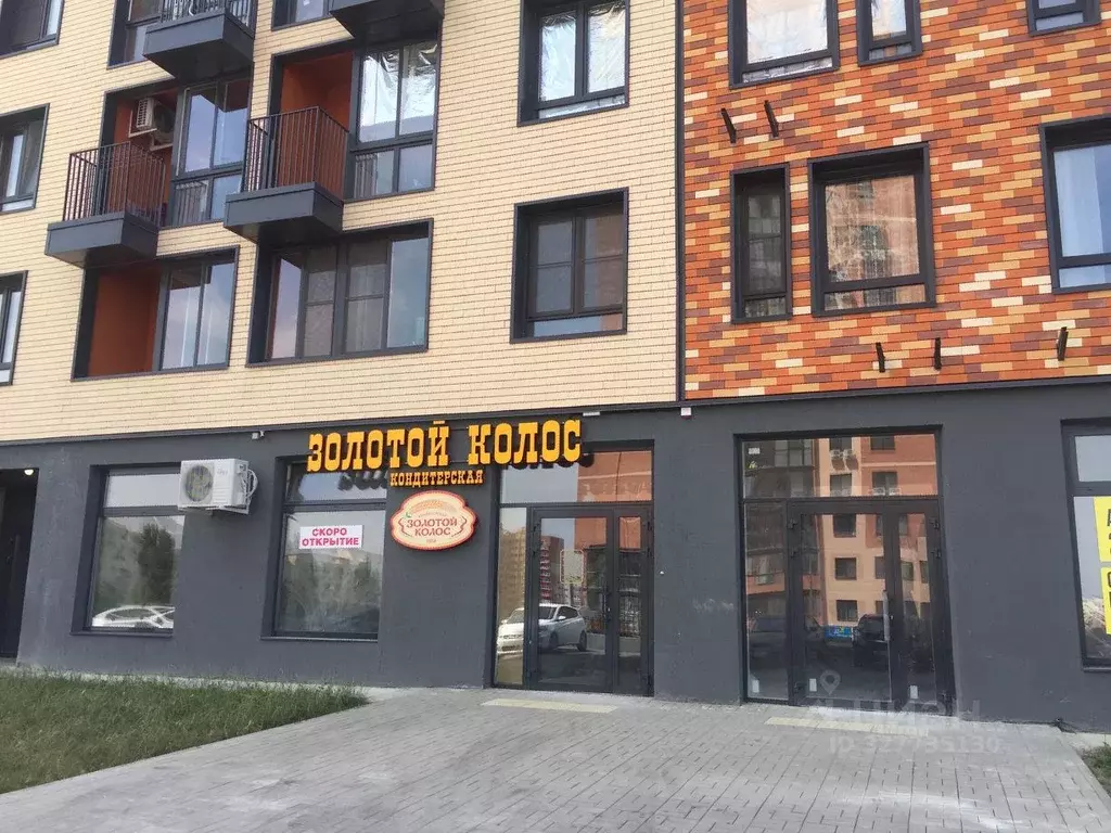 Помещение свободного назначения в Ростовская область, Ростов-на-Дону ... - Фото 1