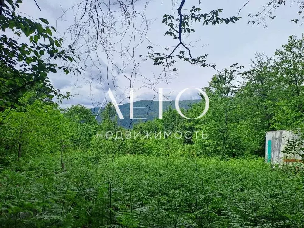 Участок в Краснодарский край, Сочи городской округ, с. Пластунка ул. ... - Фото 1