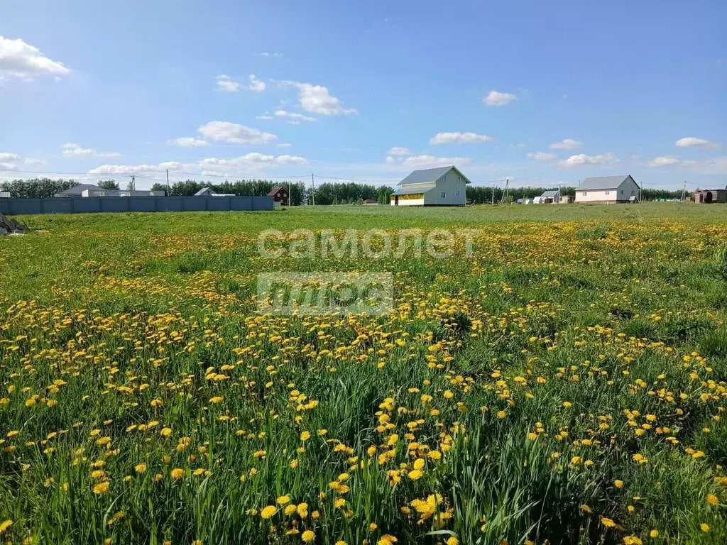 Участок в Рязанская область, с. Захарово ул. Новоселов (15.0 сот.) - Фото 1