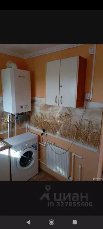 1-к кв. Севастополь ул. Танкистов, 49Г (20.0 м) - Фото 0